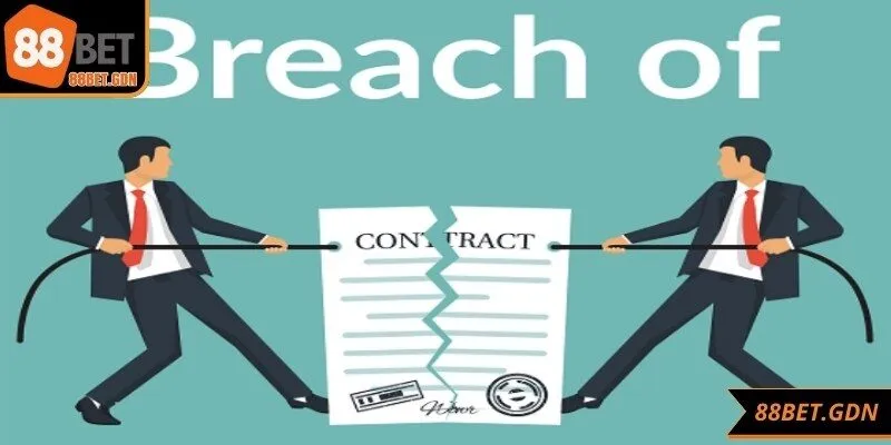 Đọc và hiểu đầy đủ điều khoản giúp bảo vệ quyền lợi người chơi